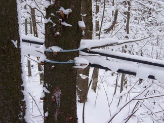 Merck Forest and Farmland Center in Rupert, VT.