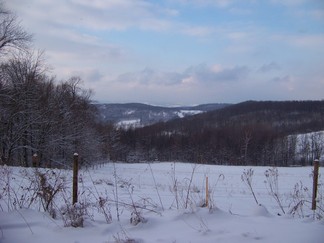 Merck Forest and Farmland Center in Rupert, VT.