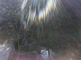 Stream, Camp El Tesoro.