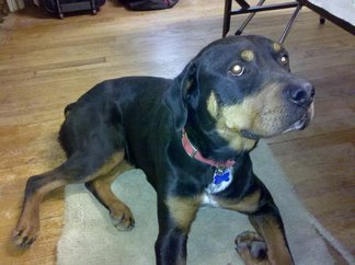 Roxie.