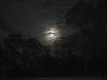 Full moon at Saratoga Battlefield, NY.