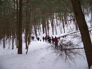 Schoharie Long Path
to Minekill Falls.
