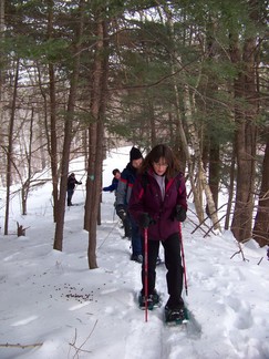 Schoharie Long Path
to Minekill Falls.