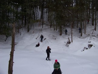 Schoharie Long Path
to Minekill Falls.