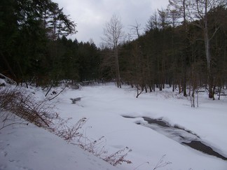 Schoharie Long Path
to Minekill Falls.
