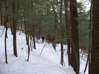 Schoharie Long Path
to Minekill Falls.