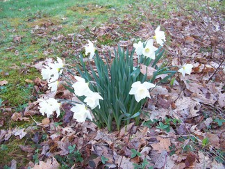 Dance Deepening Weekend Retreat, Athol, MA.