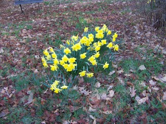 Dance Deepening Weekend Retreat, Athol, MA.