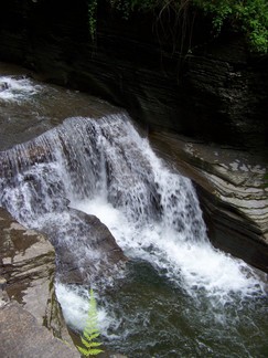 Treman State Park, NY.