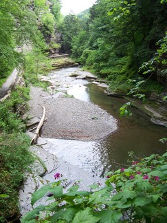 Treman State Park, NY.