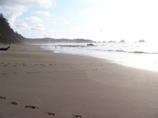 Shi Shi Beach, WA.