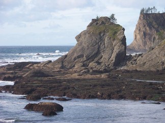 Shi Shi Beach, WA.
