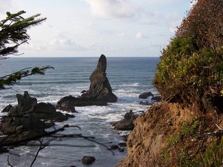 Shi Shi Beach, WA.