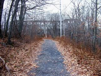 Overlook Mountain Trail, Woodstock, NY.