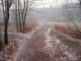 Overlook Mountain Trail, Woodstock, NY.