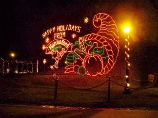 Albany NY Capital Holiday Lights In The Park, Albany, NY.