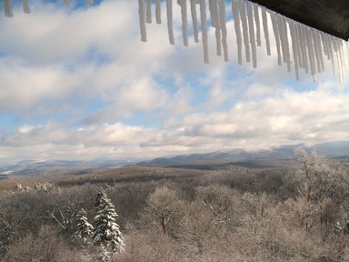 Spruce Bog Trail, Grafton , NY.