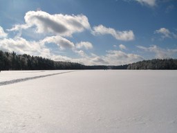 Spruce Bog Trail, Grafton , NY.