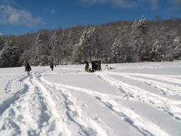 Spruce Bog Trail, Grafton , NY.