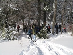 Spruce Bog Trail, Grafton , NY.
