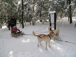 Spruce Bog Trail, Grafton , NY.