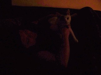 Nina and Snowball.