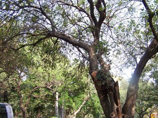 Electiral Wiring, New Delhi, India.