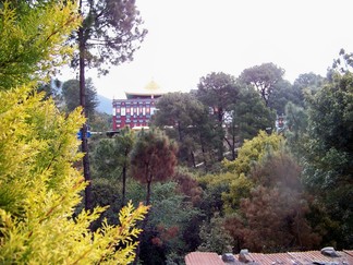 Sherab Ling Monastery, India.