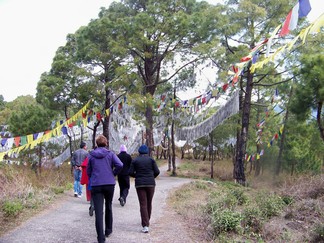 Sherab Ling Monastery, India.