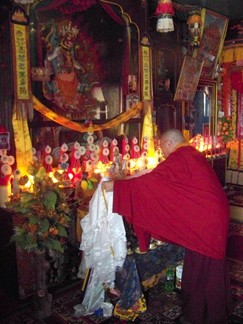 Lamala.