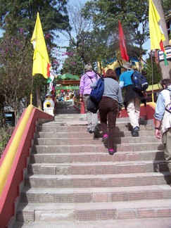 Tashi Jong Monastery, India.