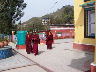 Tashi Jong Monastery, India.