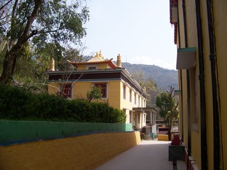 Tashi Jong Monastery, India.