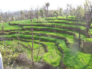 View from Nawang's House.
