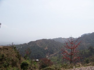 Trip to Tso Pema, Rewalsar.