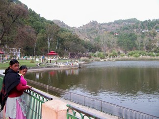 Tso Pema Lake.