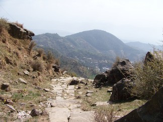 Return to Tso Pema / Rewalsar.