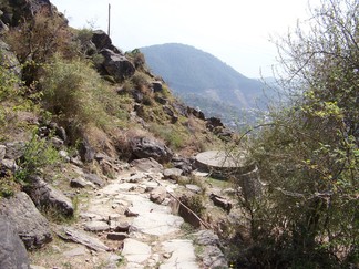 Return to Tso Pema / Rewalsar.
