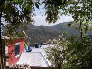 Return to Tso Pema / Rewalsar.