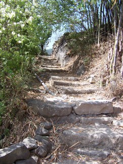 Return to Tso Pema / Rewalsar.
