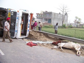 Return to Delhi, India.
