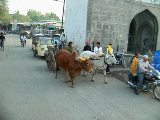 Trip to Ajanta Caves, India.