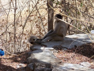 Ajanta Caves, India.