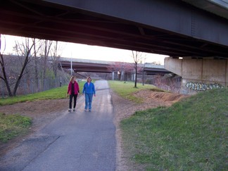 Albany Pine Bush Park, NY.