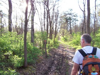 Blueberry Hill East, Pine Bush Park, Albany, NY.