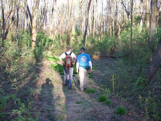 Blueberry Hill East, Pine Bush Park, Albany, NY.