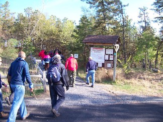 Karner Barrens East, Albany Pine Bush Park, NY.