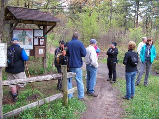 Madison Avenue Pinelands, Pine Bush Park, Albany, NY.