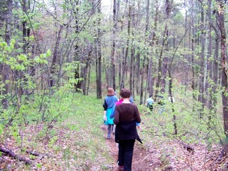 Madison Avenue Pinelands, Pine Bush Park, Albany, NY.