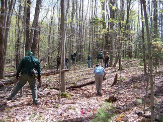 Trail Blazing at Grafton State Park, NY.